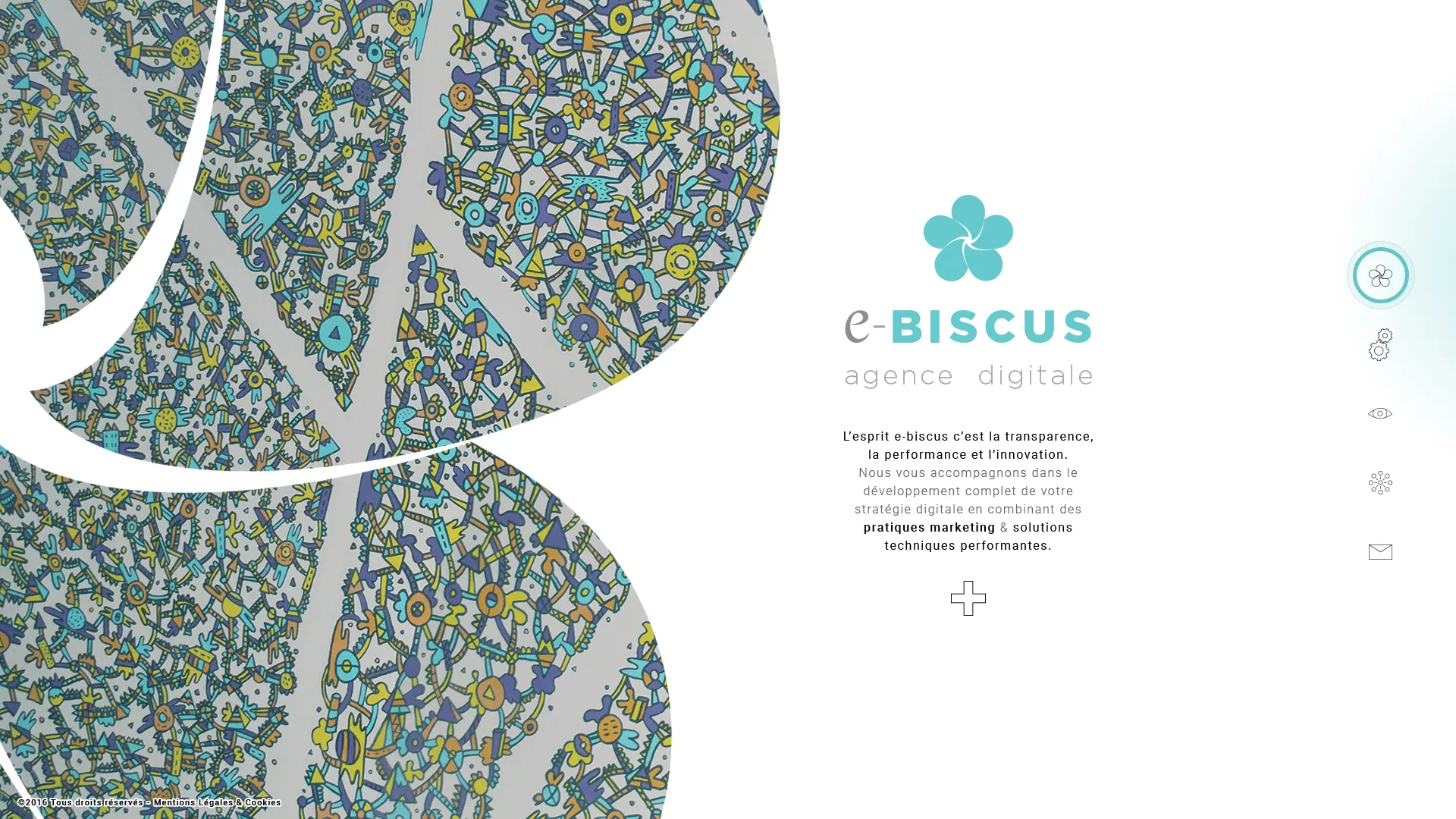 e-Biscus