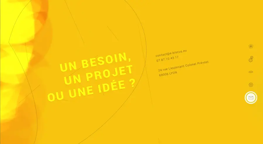 e-Biscus, capture d'écran